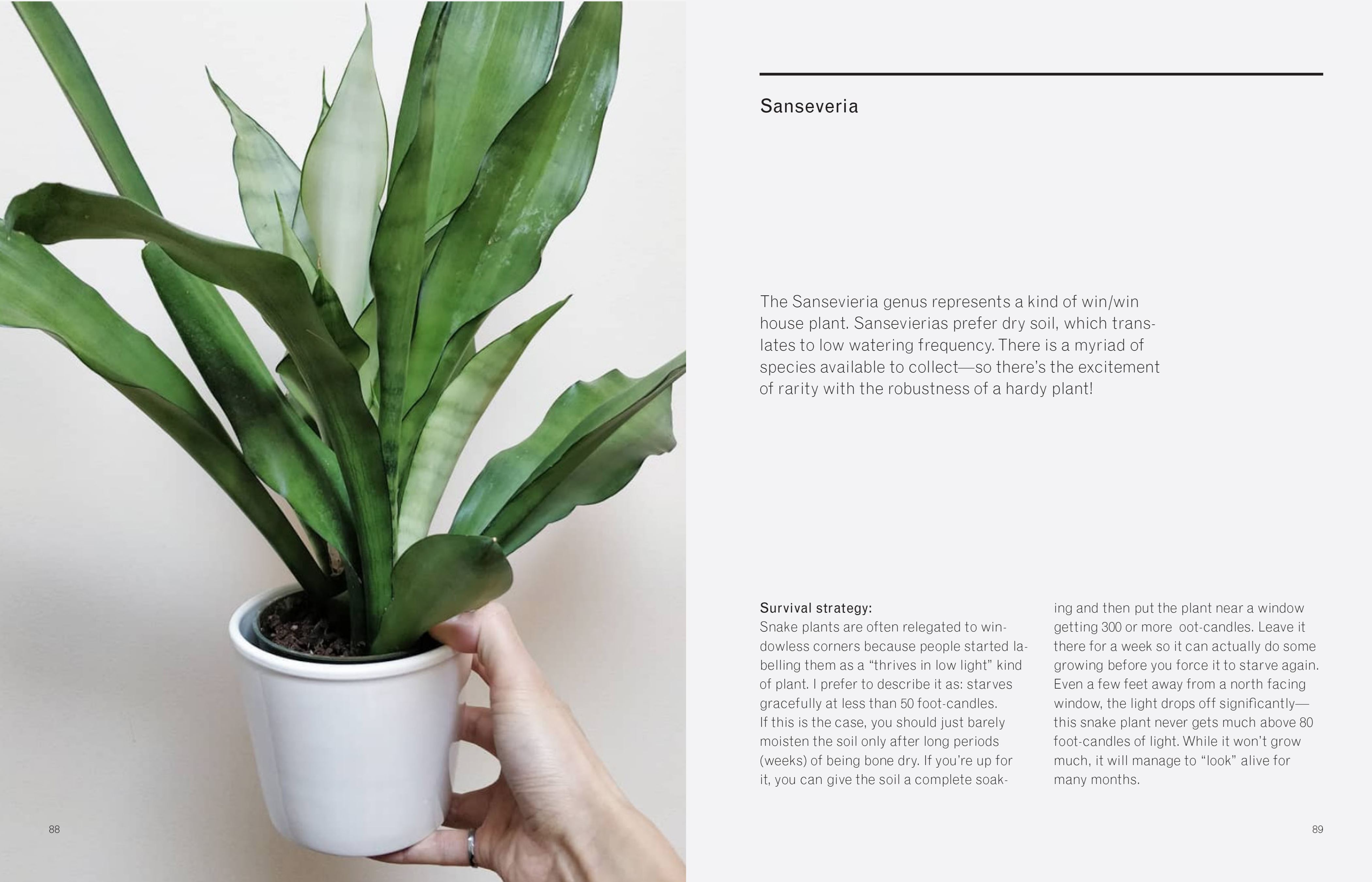 Book - New Plant Parent