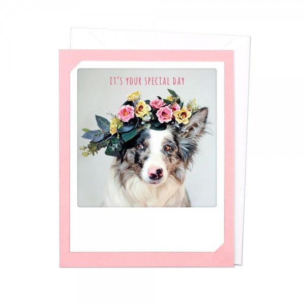 Pickmotion Photo-Card - It's Your Special Day
