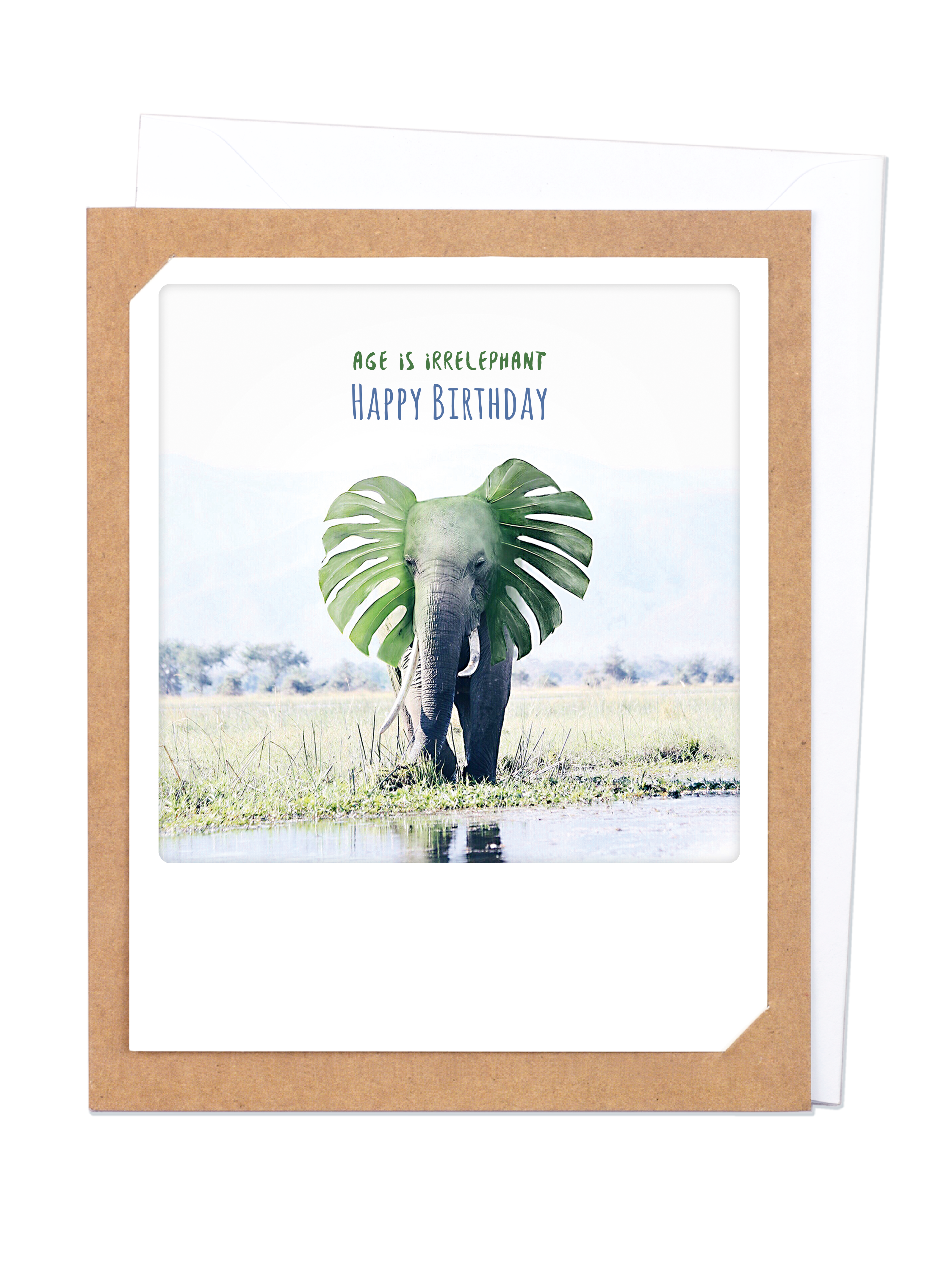 Pickmotion Photo-Card - Age is Irrelephant