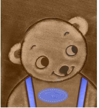 Tiny Bear Bible Blue - Sally Lloyd Jones