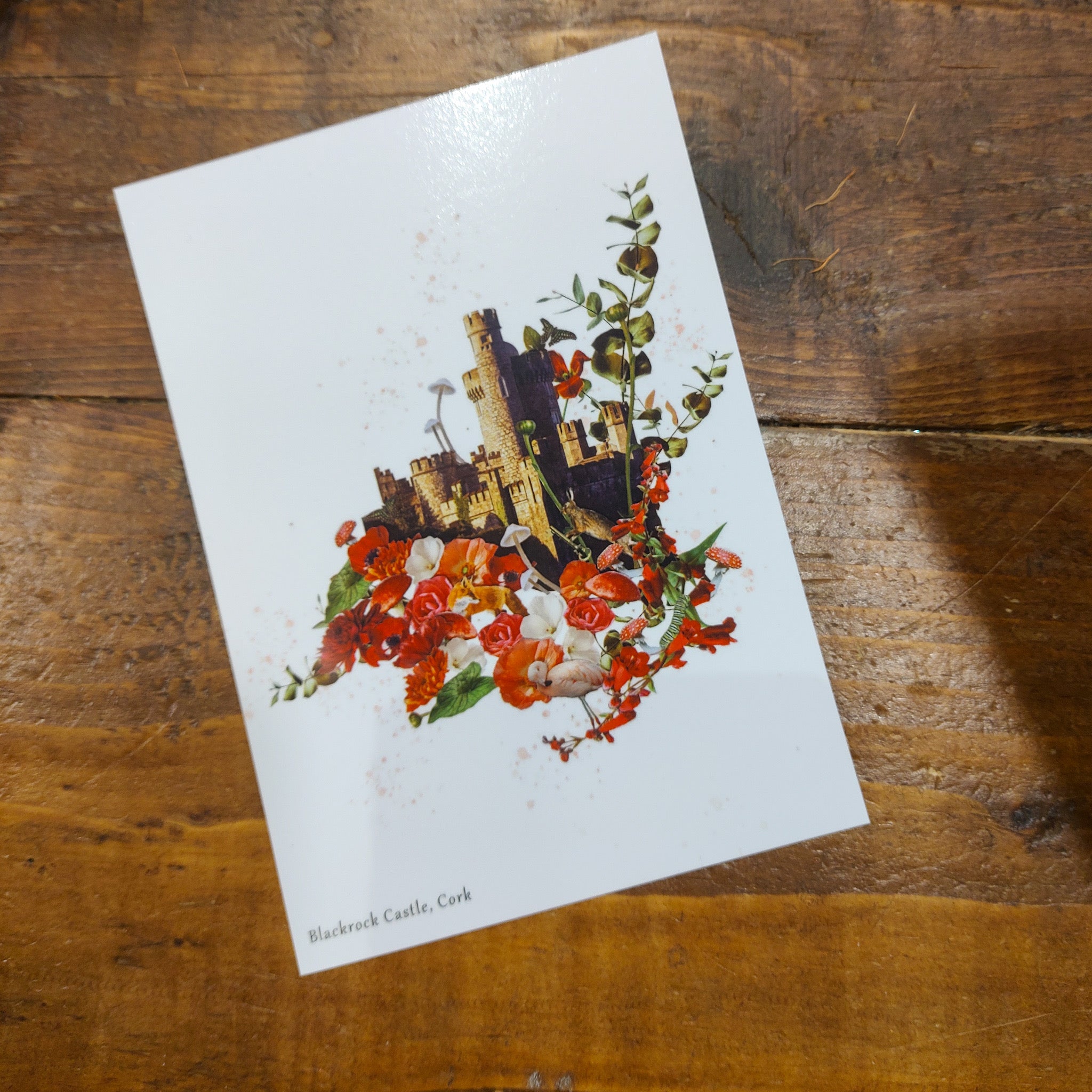 Caoimhe Heaney Postcards