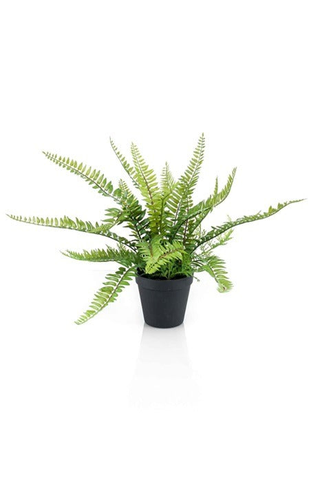 Artificial Plant - Fern