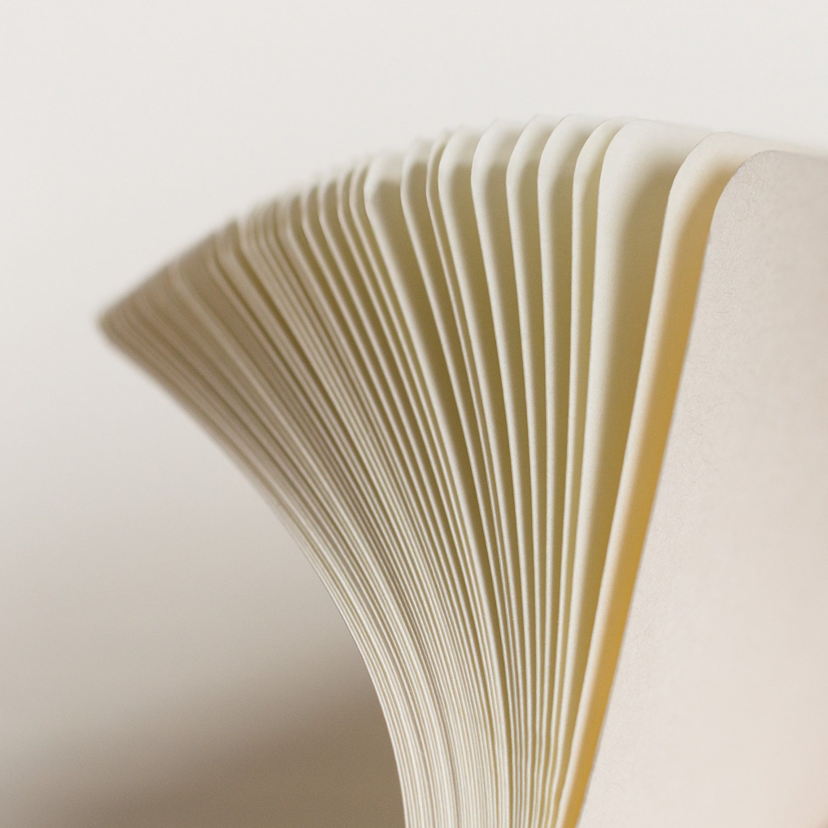 Leuchtturm1917 - B5 Notebook - Composition Softcover