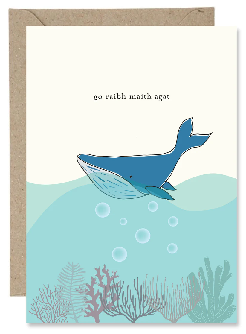 The Paper Gull - Go Raibh Maith Agat