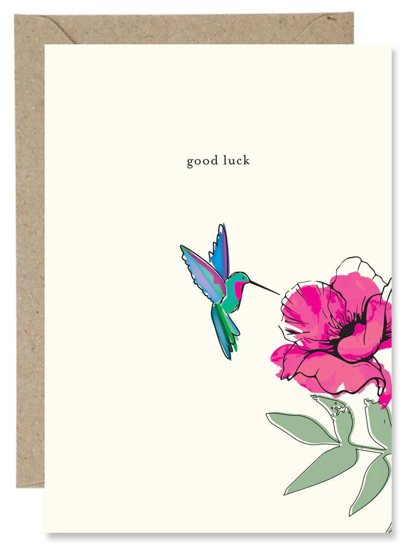 The Paper Gull - Good Luck