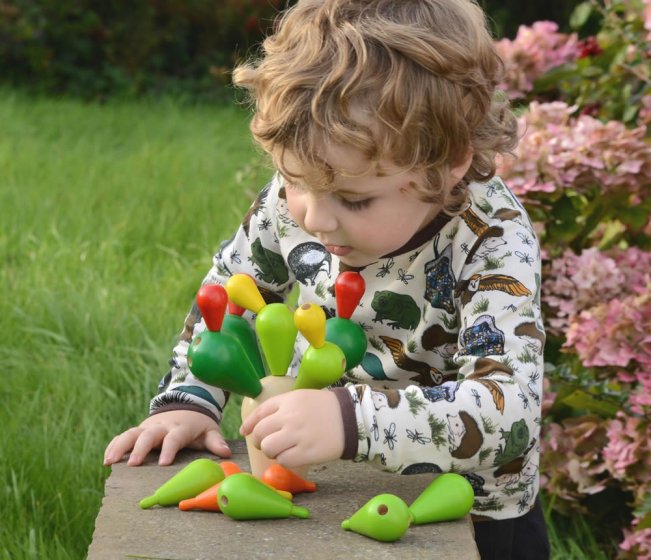 Plan Toys - Balancing Cactus