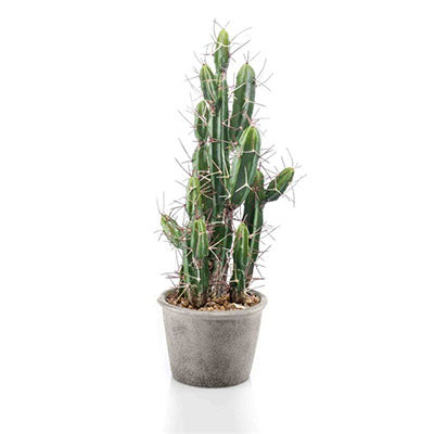 Artificial Plant - Cactus Stetsonia