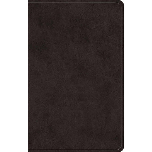 ESV - Giant Print Value Personal Size Bible