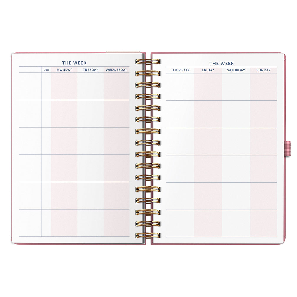 Busy B 2025-2026 Mid-Year Diaries - 17-Month Life Planner - Pink
