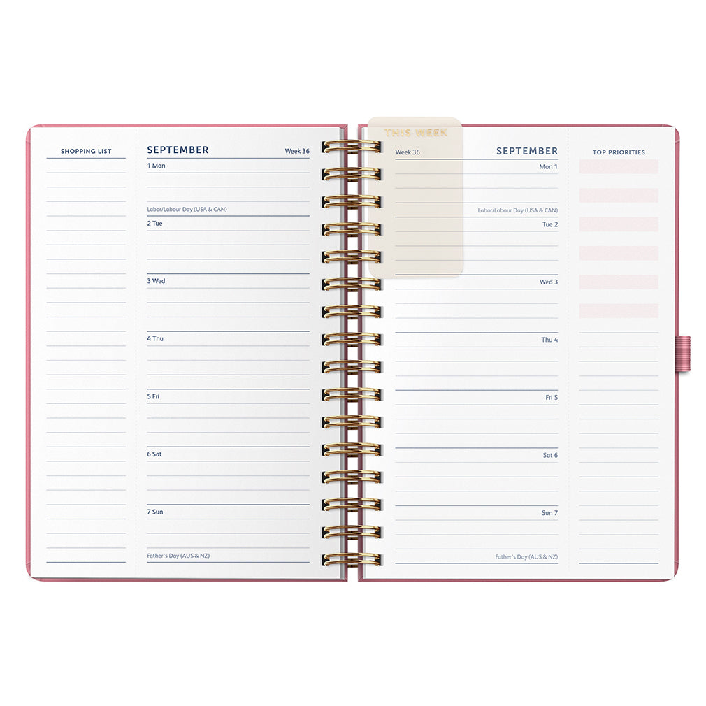 Busy B 2025-2026 Mid-Year Diaries - 17-Month Life Planner - Pink