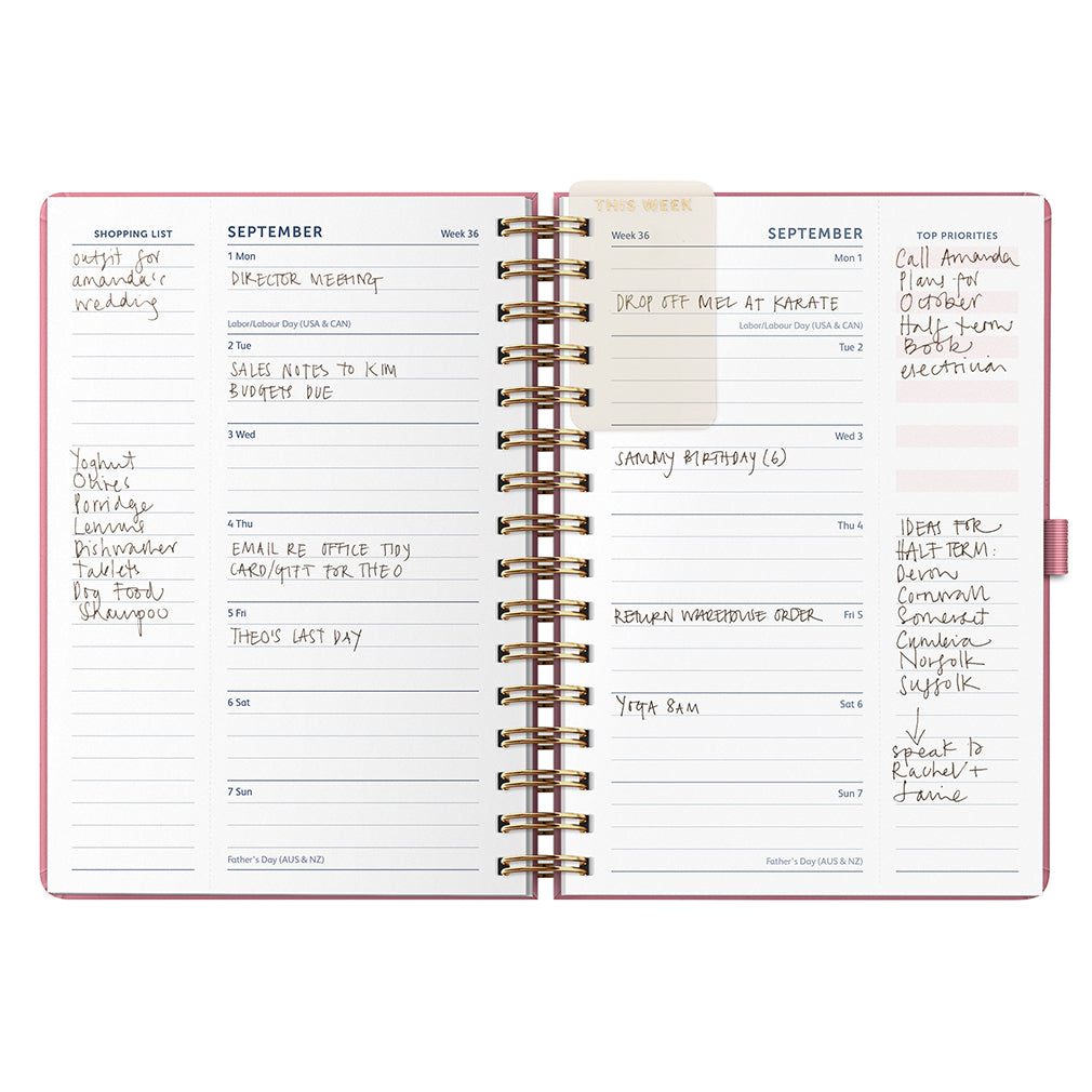 Busy B 2025-2026 Mid-Year Diaries - 17-Month Life Planner - Pink