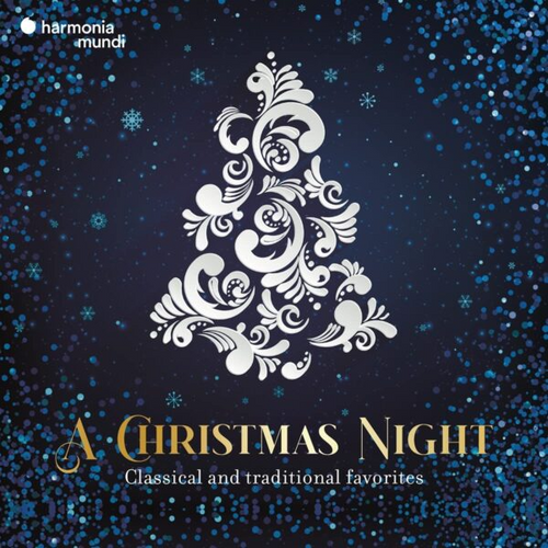 Vinyl -  A Christmas Night