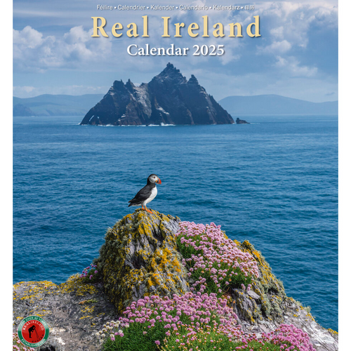 Real Ireland Calendar 2025 - Large Calendar
