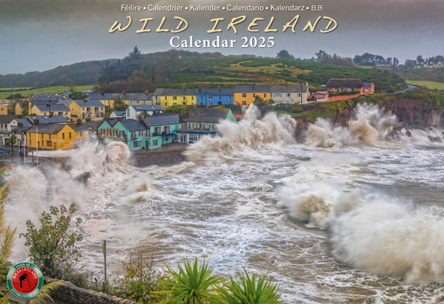 Real Ireland A4 Calendar 2025 - Wild Ireland