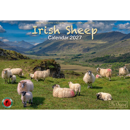 Real Ireland A4 Calendar 2027 - Irish Sheep