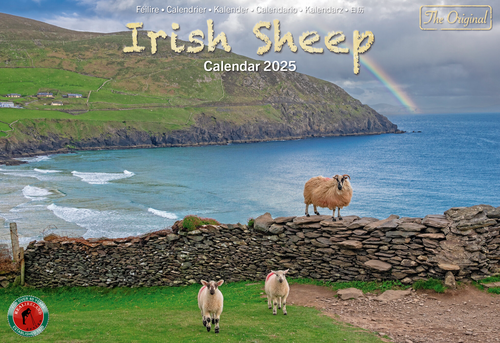 Real Ireland A4 Calendar 2025 - Irish Sheep