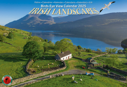 Real Ireland A4 Calendar 2025 - Irish Landscapes - Birds Eye View
