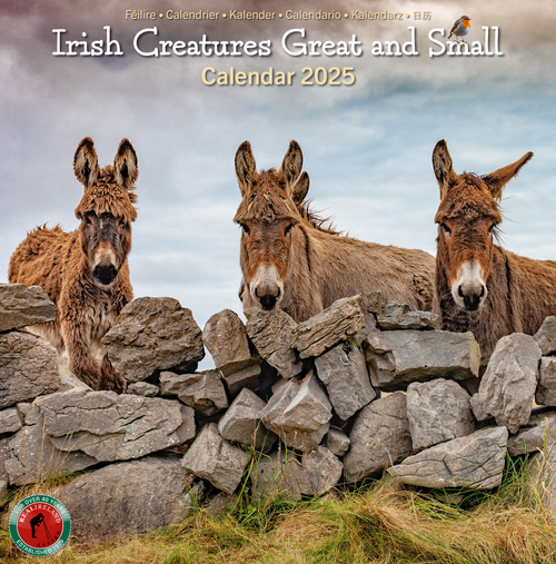 Real Ireland Medium Calendar 2025 - Irish Creatures Great and Small