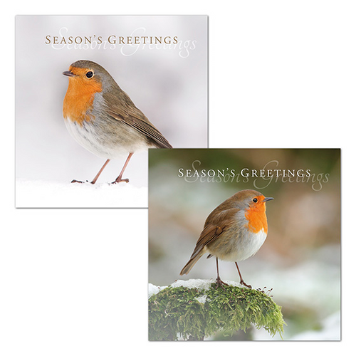 Christian Christmas Card Box - Robin 16 pack