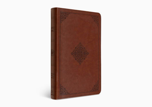 ESV - Large Print  Value Thinline Bible