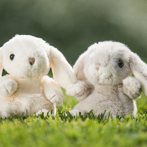 Bukowski Soft Toy - Kanini Bunny