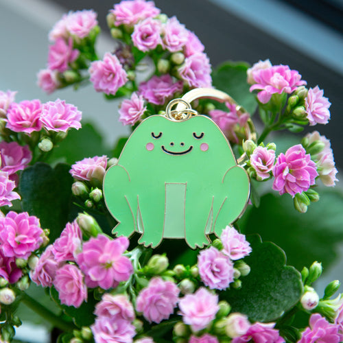 Sass & Belle Keyring - Frog