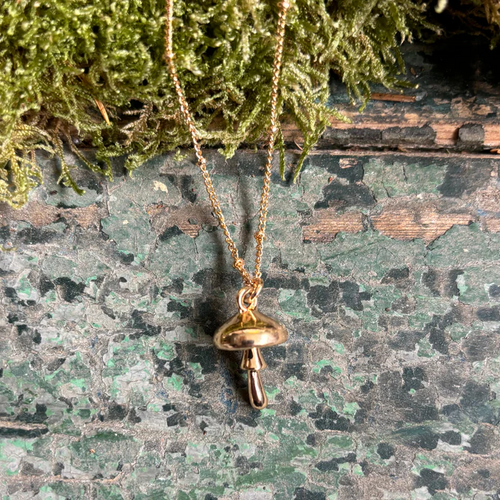 Disaster Designs Jewellery - Forage Gold Necklace