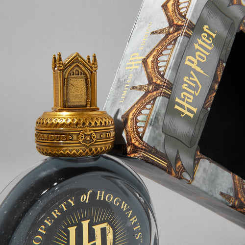 Ferris Wheel Press Fountain Pen Ink - 38ml Warner Bros Harry Potter - The Mirror of Erised