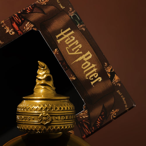 Ferris Wheel Press Fountain Pen Ink - 38ml Warner Bros Harry Potter - The Sorting Hat