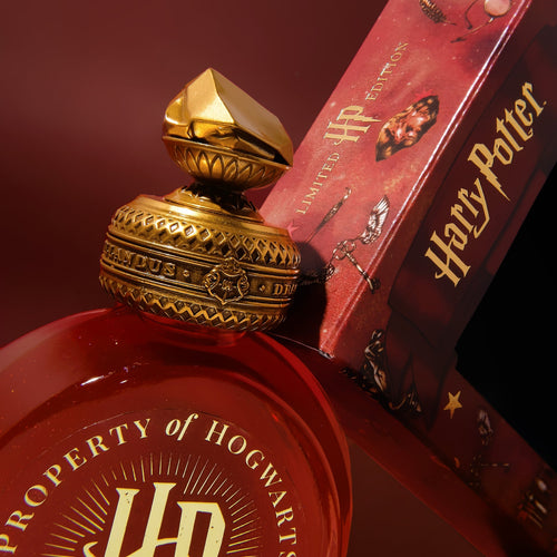 Ferris Wheel Press Fountain Pen Ink - 38ml Warner Bros Harry Potter - The Sorcerer's Stone