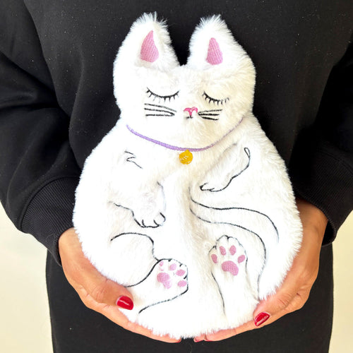 Disaster Designs Hot Water Bottle - Sleeping Round Cat
