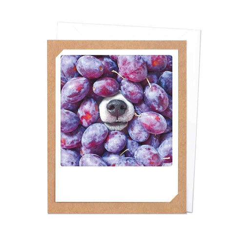 Pickmotion Photo-Card - Smell of Fruits