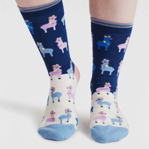 Thought Ladies Socks - Cotton Clara Rainbow Llama