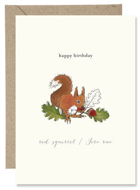 The Paper Gull - Happy Birthday Squirrel