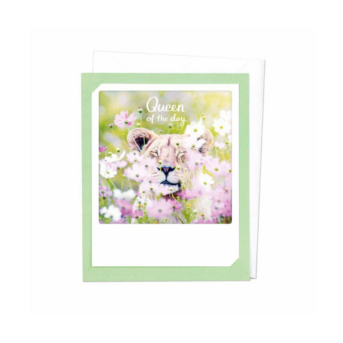 Pickmotion Photo-Card - Queen of the Day