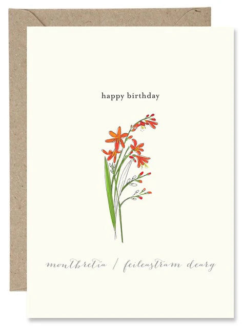 The Paper Gull - Happy Birthday Montbretia