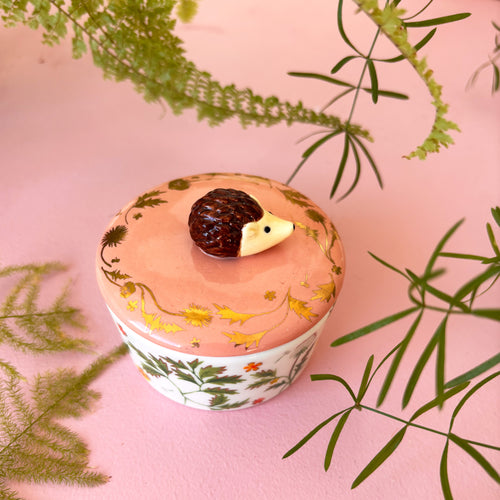 Disaster Designs Trinket Pot - Secret Garden Hedgehog