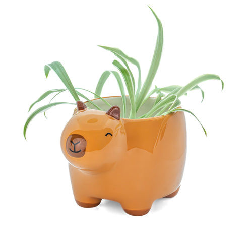 Sass & Belle Planter - Capybara