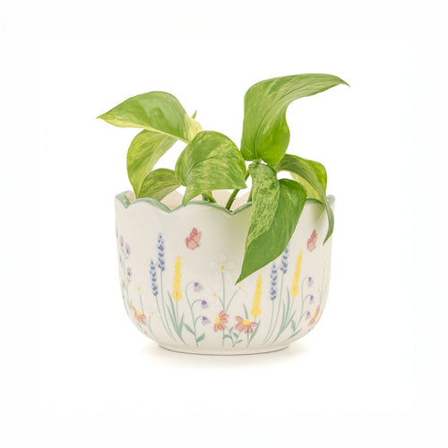 Sass & Belle Planter - Meadow Floral