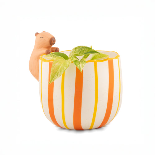 Sass & Belle Planter - Peeking Capybara