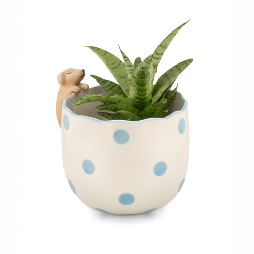 Sass & Belle Planter - Peeking Dog