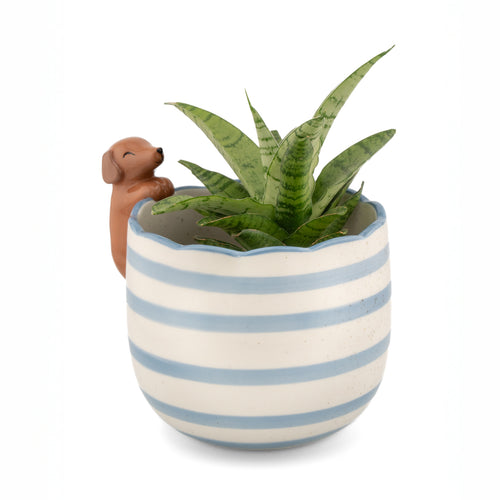 Sass & Belle Planter - Peeking Sausage Dog