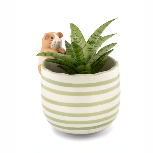 Sass & Belle Planter - Peeking Guinea Pig