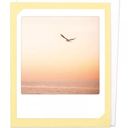 Pickmotion Photo-Card - Sunset Wings