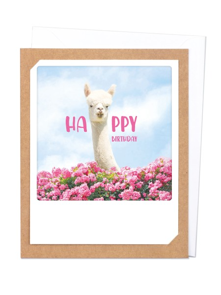 Pickmotion Photo-Card - Happy Birthday Lama