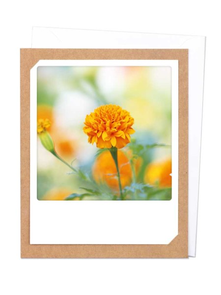 Pickmotion card - Orange Flower