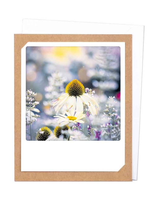 Pickmotion Photo-Card - Flower Field