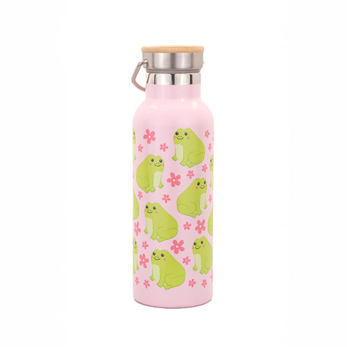 Sass & Belle Water Bottle - Frog Metal Water Bottle