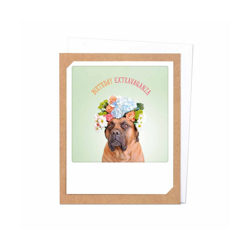 Pickmotion Photo-Card - Birthday Extravaganza