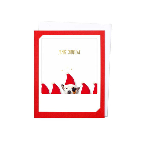 Pickmotion Christmas Photo-Card - Merry Christmas Dog Santa